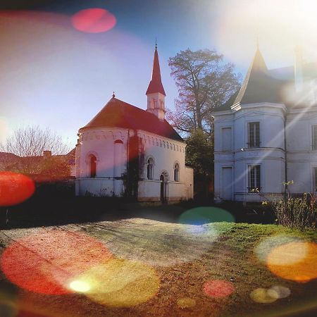 Assay Chateau De Basche المظهر الخارجي الصورة