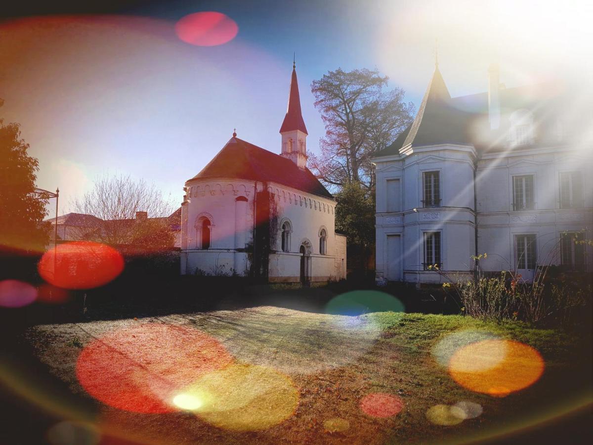 Assay Chateau De Basche المظهر الخارجي الصورة